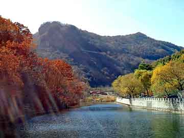 新澳天天开奖资料大全旅游团，文能提笔控萝莉